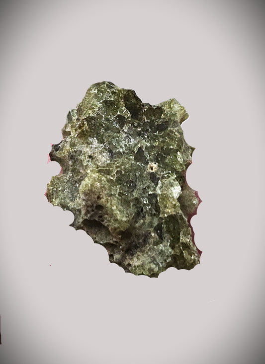 1.0g Dark Glassy Green Trinitite in Leather Clasp Display Case