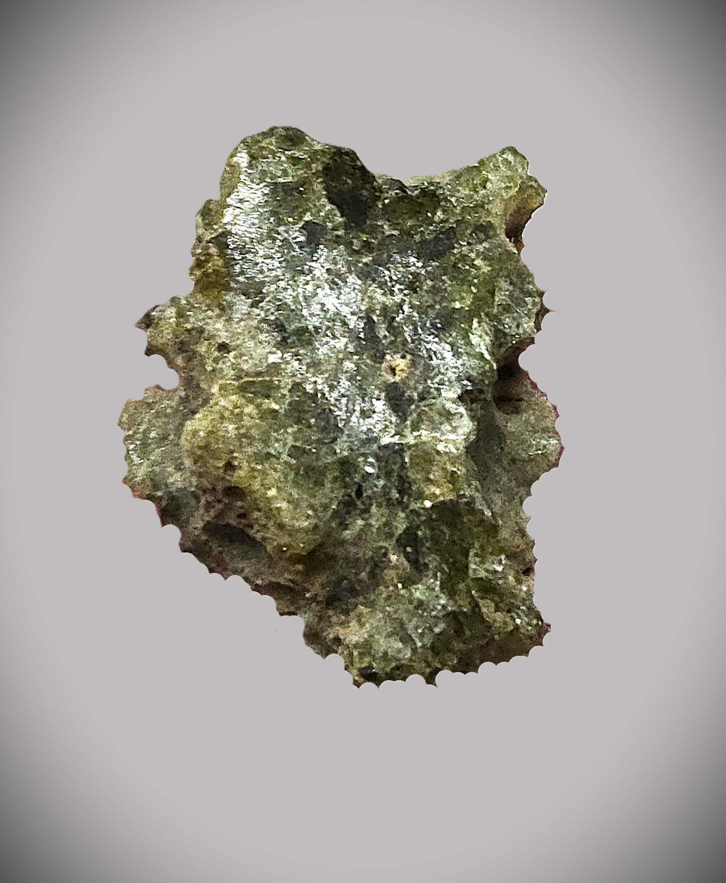 1.0g Dark Glassy Green Trinitite in Leather Clasp Display Case