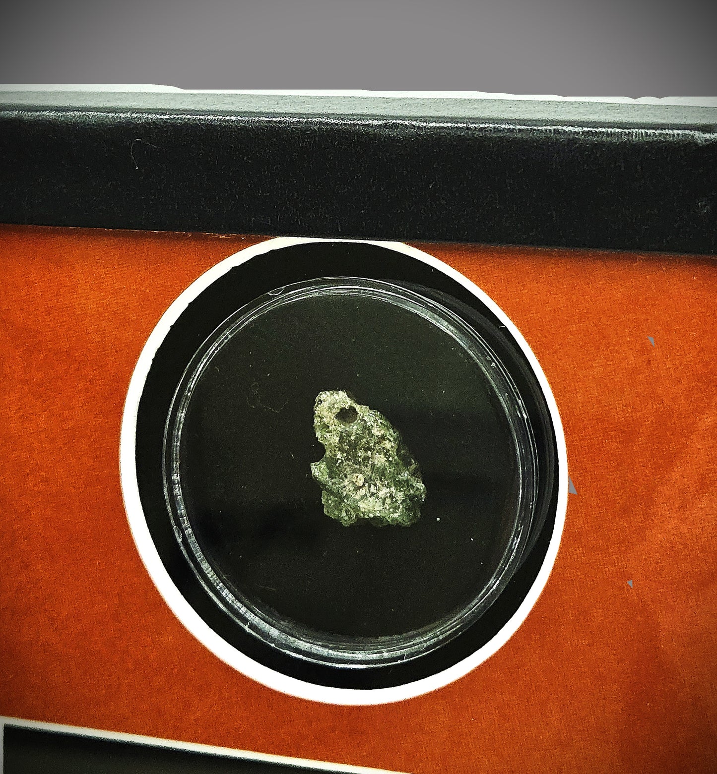 1.4g Bright Glassy Green Trinitite in Small Riker Display Case