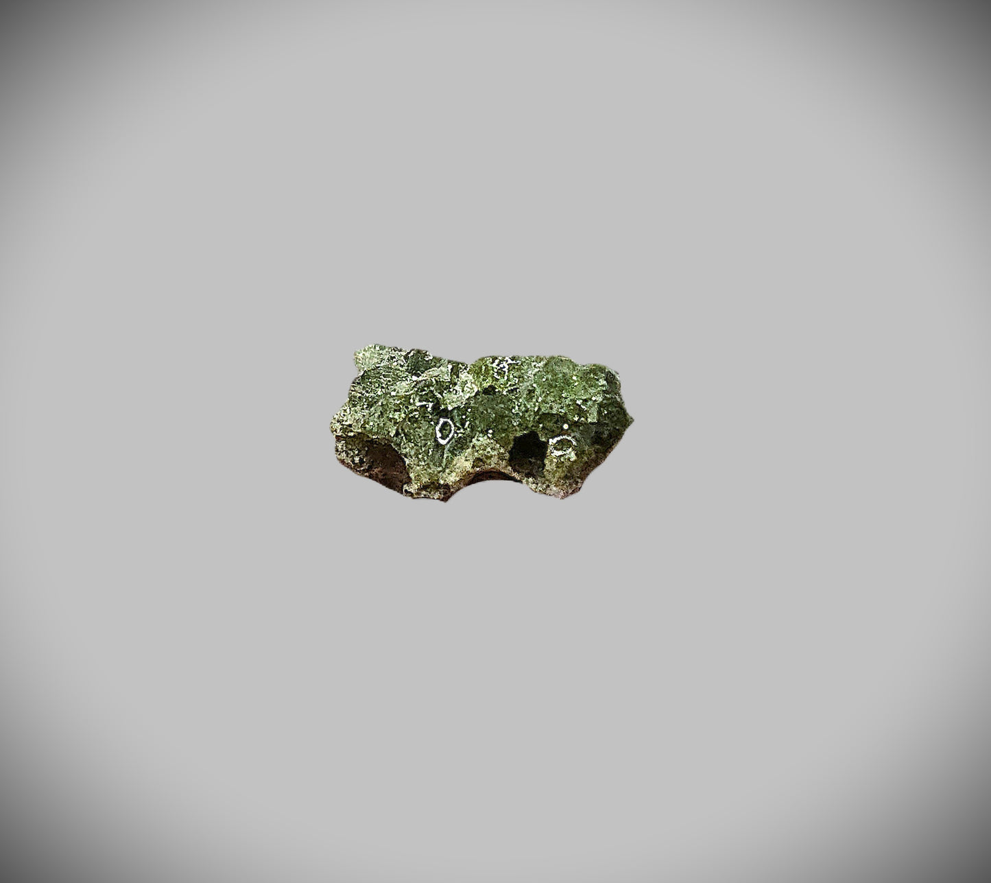1.4g Bright Glassy Green Trinitite in Small Riker Display Case
